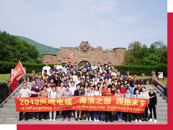 Staff Activities-2