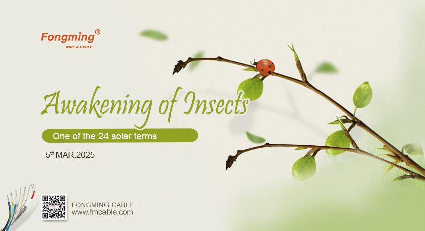 Fongming Cable 丨Jingzhe: The earth is rejuvenated and full of vitality