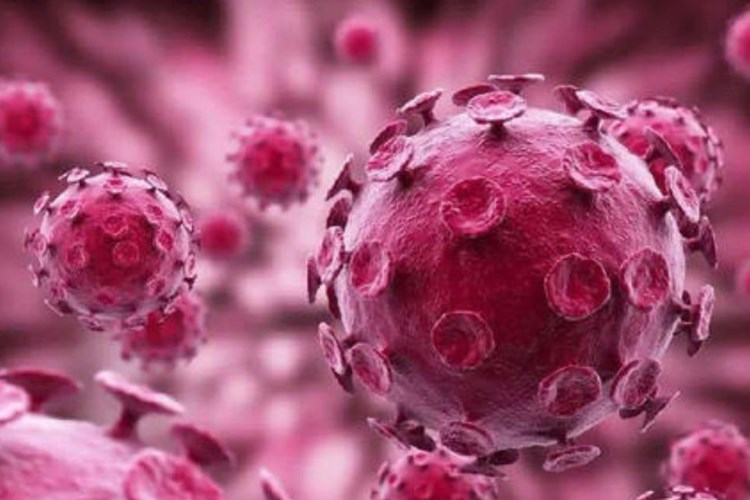 A novel coronavirus variant found in the UK has mutated again