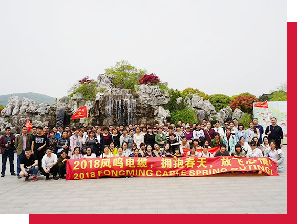 Staff Activities-1