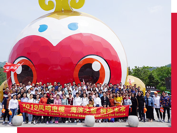 Staff Activities-3