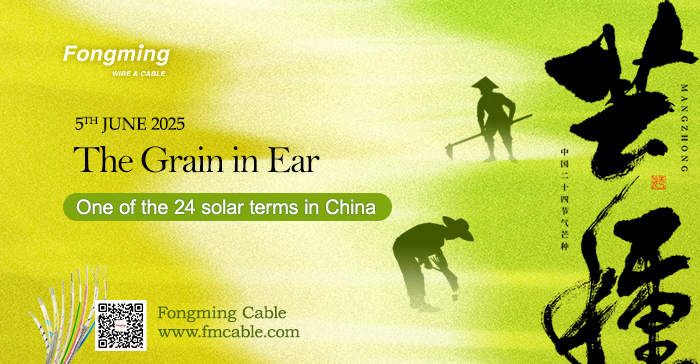 Fongming Cable丨Traditional customs during the Grain in Ear season