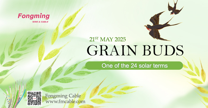 Fongming Cable 丨Grain Full Solar Terms and Agricultural Wisdom