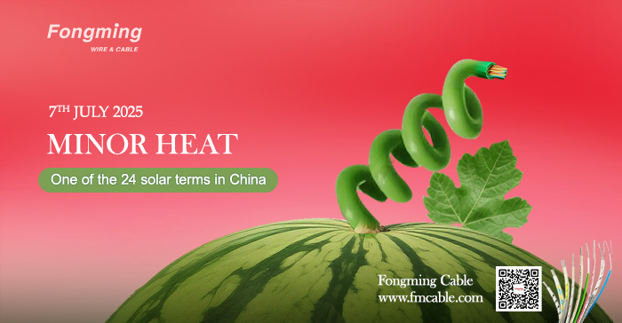 Fongming Cable丨Traditional health customs: Food and health preservation in the Lesser Heat season
